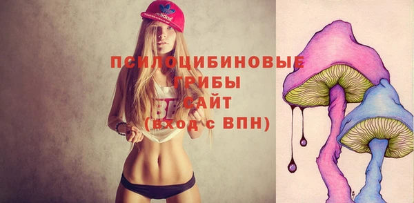 бошки Бугульма