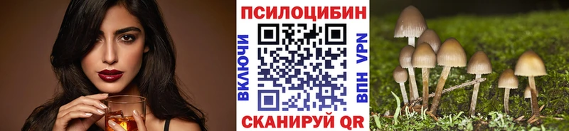 где можно купить наркотик  Невельск  МЕГА сайт  Псилоцибиновые грибы Magic Shrooms 